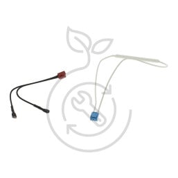 FUSIBLE RY182 184C 250V-10A